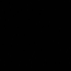 Meet your Posher, Kiante